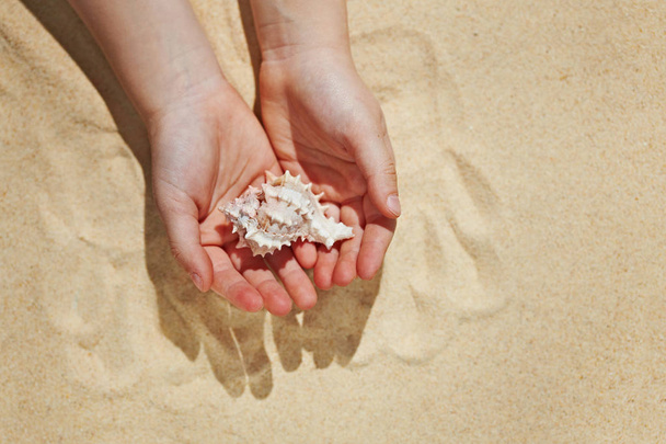 Sea  shell inside kids hand as a symbol of protection and safety - Zdjęcie, obraz