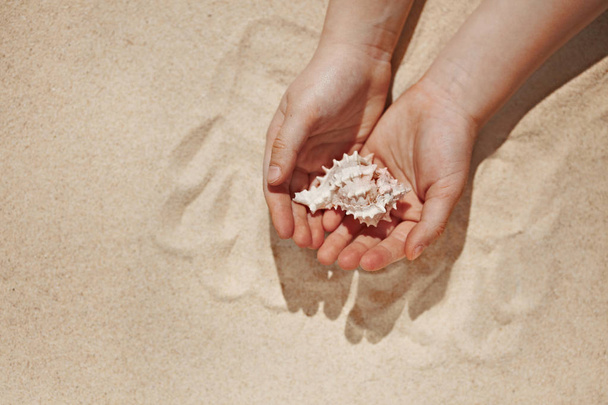 Sea  shell inside kids hand as a symbol of protection and safety - Photo, image