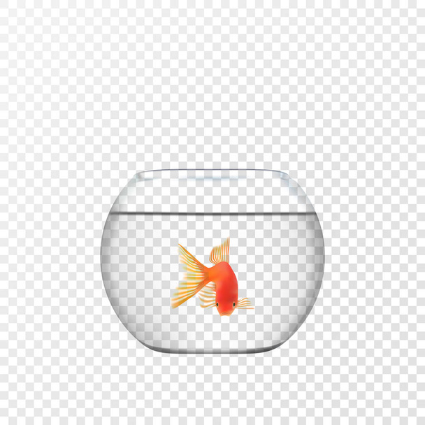 Одиночна золота рибка, що плаває в прозорій круглої скляній мисці акваріум реалістичне зображення принт Векторні ілюстрації
 - Вектор, зображення