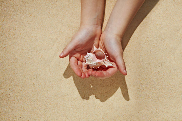coquille de mer rose comme un symbole de la santé des femmes soignées dans les mains
 - Photo, image