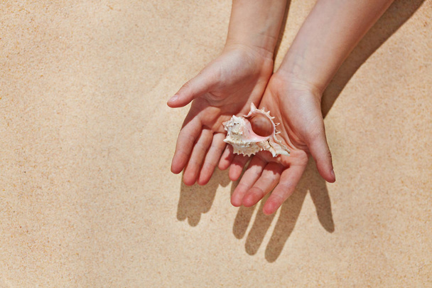 Pink sea shell as a symbol of women health cared in hands - Zdjęcie, obraz