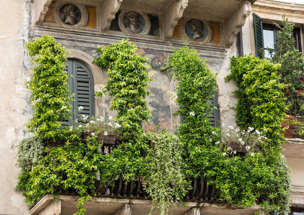 fachada de un antiguo edificio en la Piazza della Erbe de Verona
 - Foto, Imagen