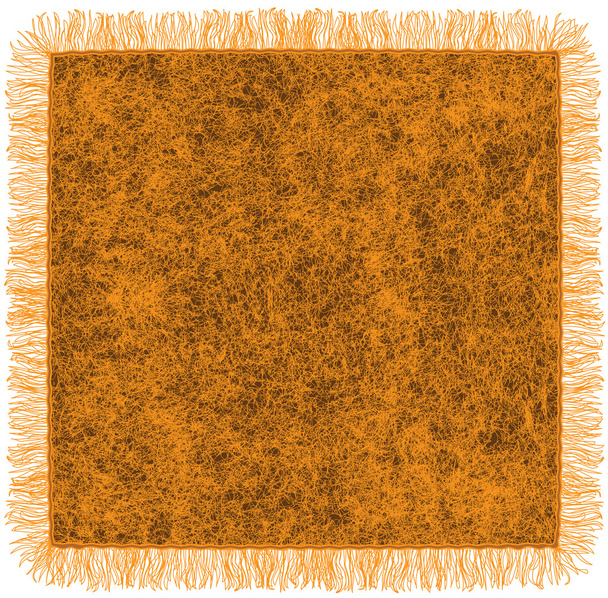 Cobertor de lã com franja nas cores laranja e marrom
 - Vetor, Imagem