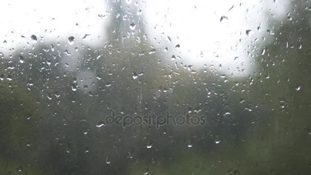 Detail z kapky vody na skle. Kapky deště na okenní sklo s rozostření pozadí. Rozmazané strom a obloha. Deštivé dny, déšť stékající okno, bokeh - Záběry, video