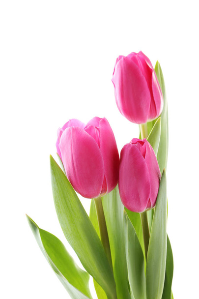 Bouquet of pink tulips - Foto, Imagen
