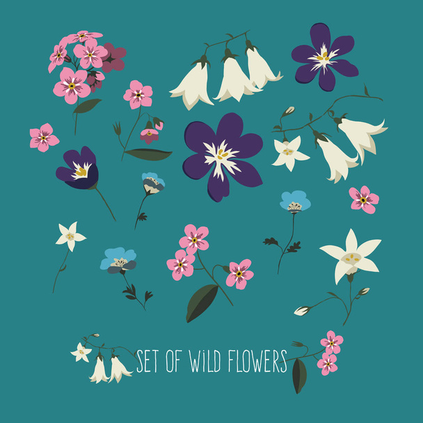 Vector set of wild flowers on a blue background. - Vector, Image
