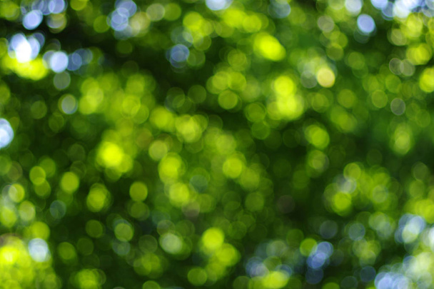tło zielony bokeh  - Zdjęcie, obraz