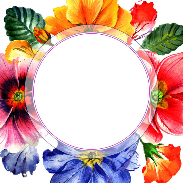 Wildflower Primrose flower frame in a watercolor style isolated. - Photo, Image