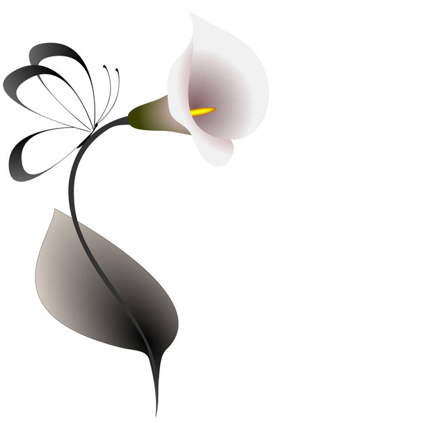 Floral background with calla lilies and butterfly. - Vector, Image