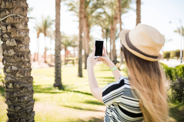 Nainen ottaa valokuvan palmu ja älypuhelimella ulkona. Musta ruutu puhelimen kopioida tilaa
 - Valokuva, kuva
