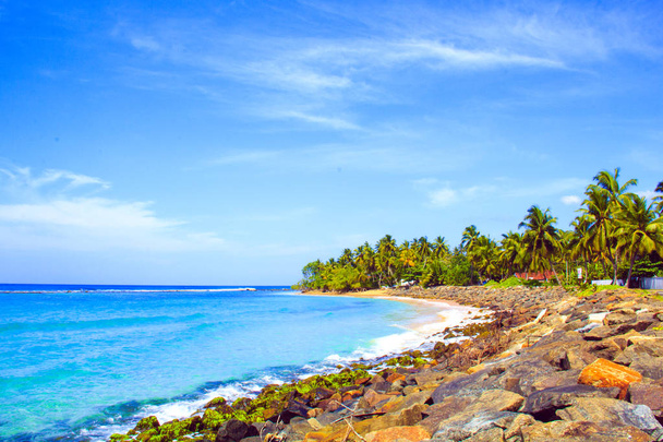 Hermosa vista de la playa de Sri Lanka en un día soleado
 - Foto, Imagen