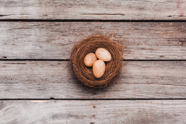 huevos de Pascua en el nido - Foto, imagen