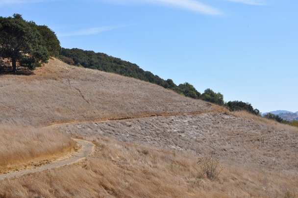 Un sentier de randonnée serpente sur une colline herbeuse
 - Photo, image