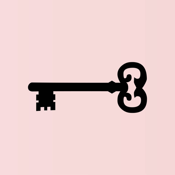 Key flat icon - Vector, Image