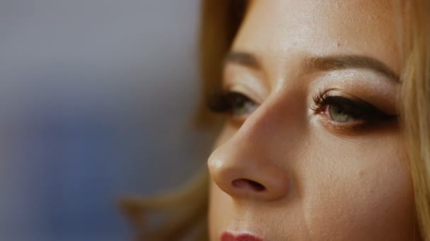 lipliner on lips attractive brunette woman in cosmetic studio beauty salon - Záběry, video