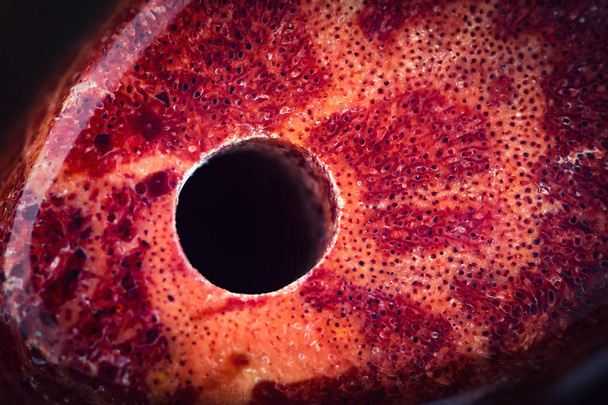 buracos de detalhe em contas de coral vermelho
 - Foto, Imagem