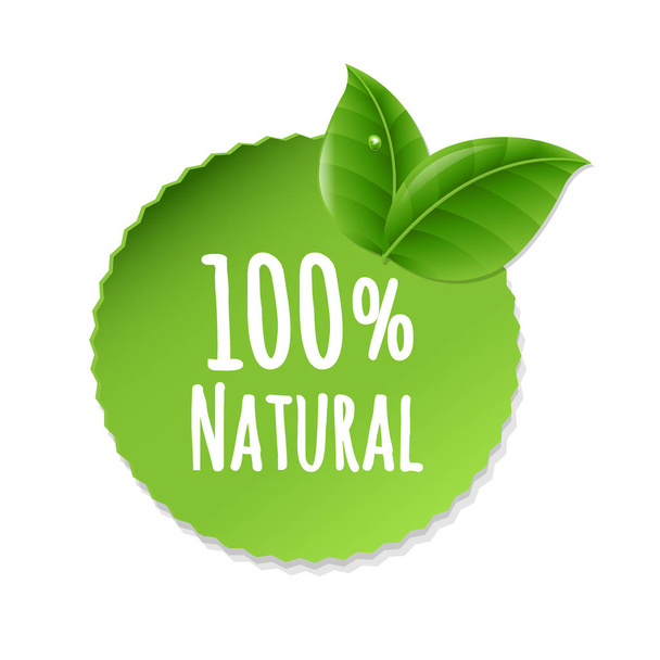 Nature Label With Leaves - Vektor, obrázek