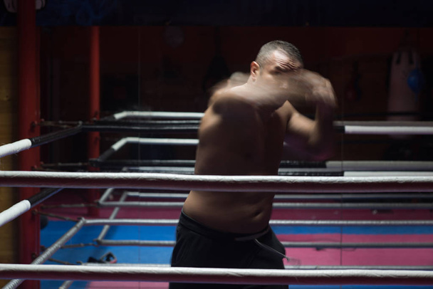 muscular professional kickboxer - Photo, image