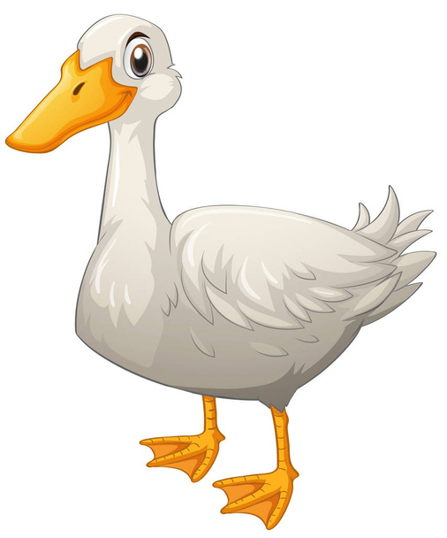 Pato blanco de pie sobre fondo blanco
 - Vector, Imagen