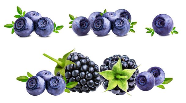 blackberry, bilberry, blueberries isolated on white  - Photo, Image