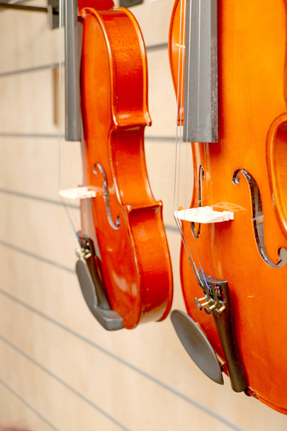 Модель хороша скрипка для скрипки та скіпачки
 - Фото, зображення
