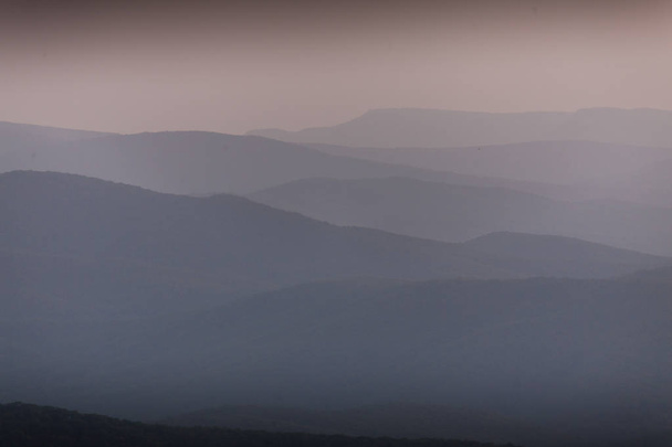 Arbres, sur son chemin, brouillard, montagnes, matin brumeux, brouillard matinal, images haute résolution
 - Photo, image