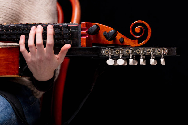 Nyckelharpa's scroll, headstock and pegbox details - Photo, Image