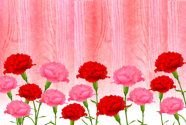 Mother's Day Carnation Spring background - Vector, Image