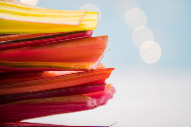 Side View of Rainbow Chard Stems with Light Blue Bokeh Backgroun - Photo, Image
