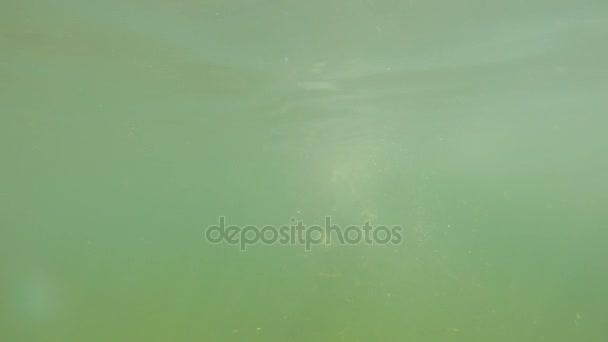 boy swimming in mountain lake - Materiaali, video