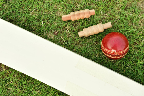 Cricket bat and ball - Photo, Image