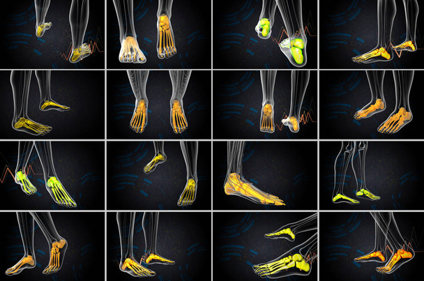 3d rendering illustrazione medica dell'osso del piede
 - Foto, immagini