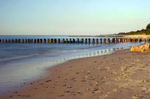 バルト海沿岸の木製の防波堤 - 写真・画像