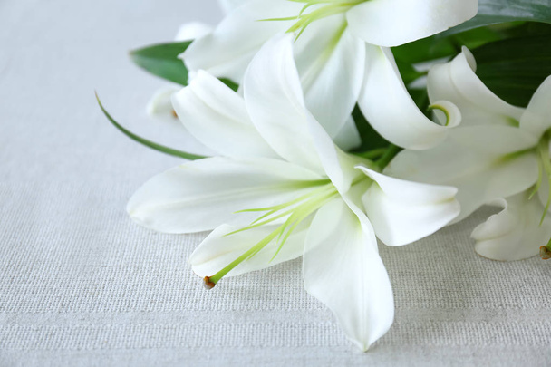 Beautiful white lilies - Photo, image