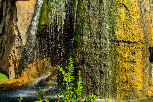tropische Natur mit senkrecht auf Felsen fließendem Wasser - Foto, Bild