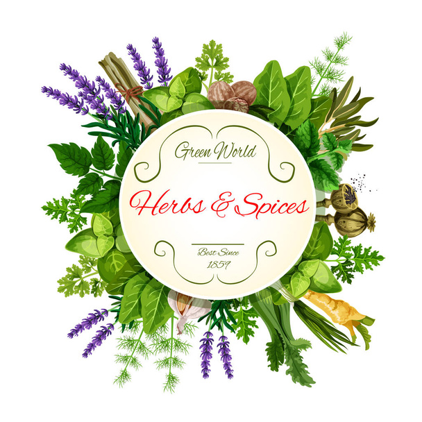 Fresh herbs and spices round label for food design - Вектор,изображение