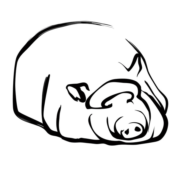Logotipo simple cerdo
 - Vector, imagen