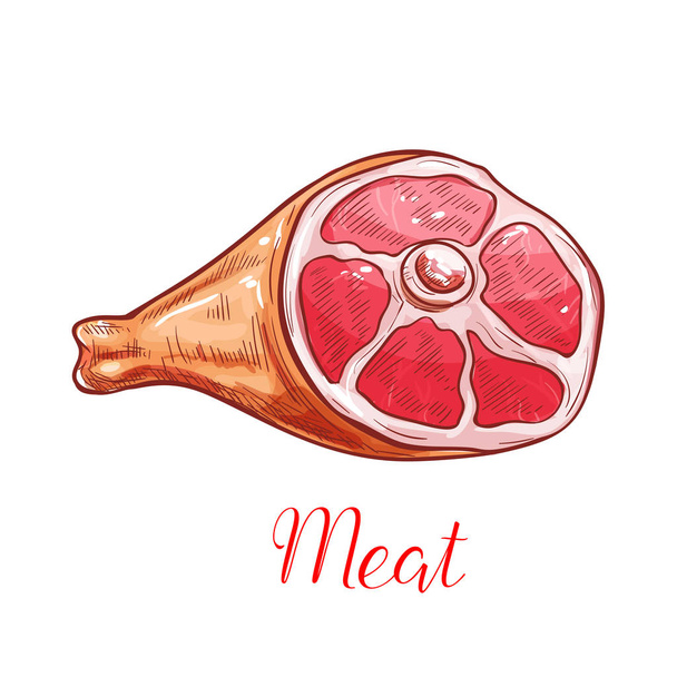 Hús elszigetelt vázlat sonka vagy sertés láb - Vektor, kép
