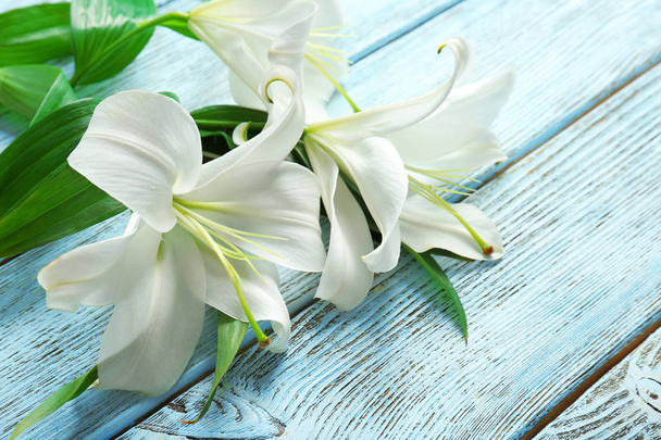 Beautiful white lilies   - Photo, Image