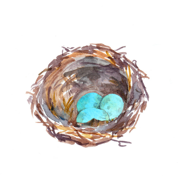 Birds nest with blue eggs. Vintage watercolor - Zdjęcie, obraz