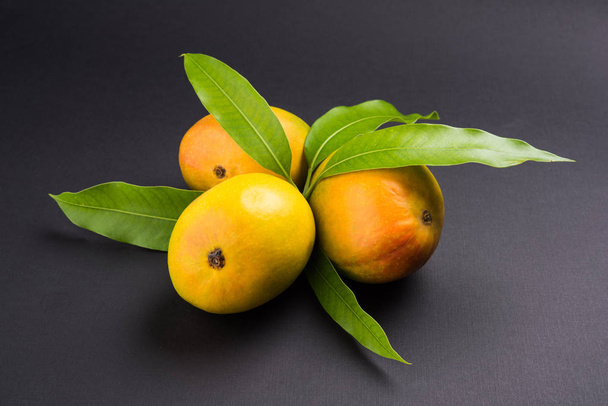 Ο βασιλιάς της φρούτα? Αλφόνσο κίτρινα φρούτα μάνγκο duo με μίσχους και πράσινα φύλλα που απομονώνονται σε λευκό φόντο σε ένα καλάθι από ζαχαροκάλαμο, ένα προϊόν της το Konkan από Μαχαράστρα - Ινδία - Φωτογραφία, εικόνα