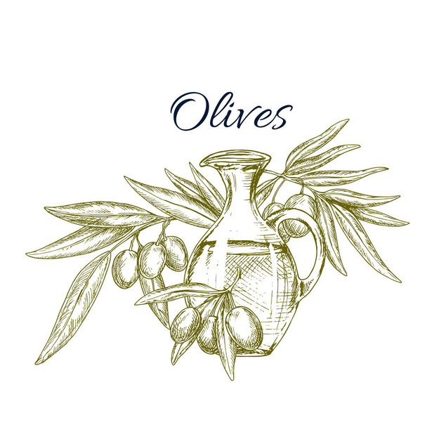 Jarra de aceite de oliva con fruta en el boceto de la rama
 - Vector, imagen