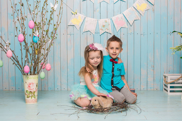 Due bambini piccoli, ragazzo, ragazza, fratello e sorella insieme al coniglio seduto sul pavimento in abiti blu brillante Pasqua, uova, umore festivo, emozione e sorriso festa a sorpresa
 - Foto, immagini