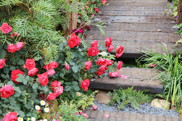 Багаторічна квіткова клумба навесні
 - Фото, зображення