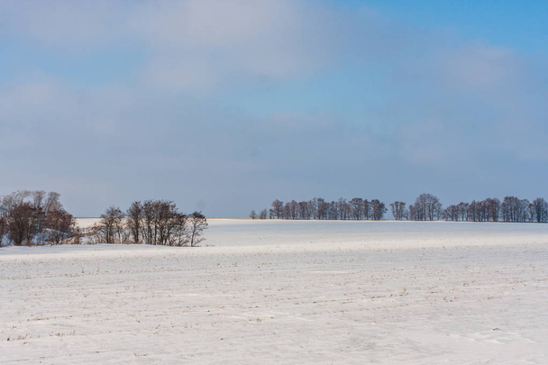 Winter snowy rural landscape with meadows and forest - Foto, immagini