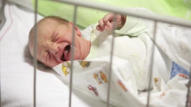 Neugeborenes weint im Krankenhaus - Filmmaterial, Video