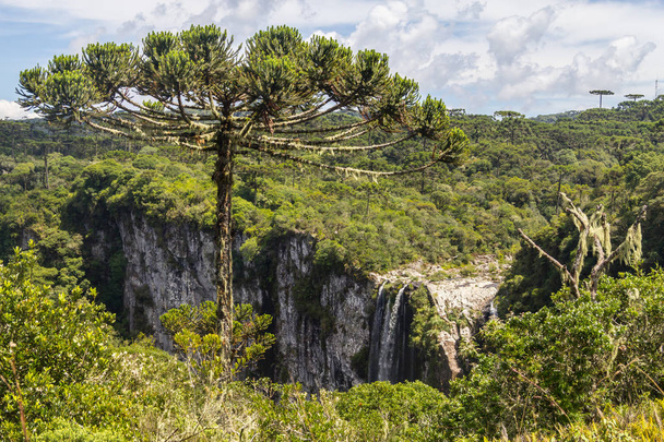 Waterfall at Itaimbezinho Canyon - Photo, Image