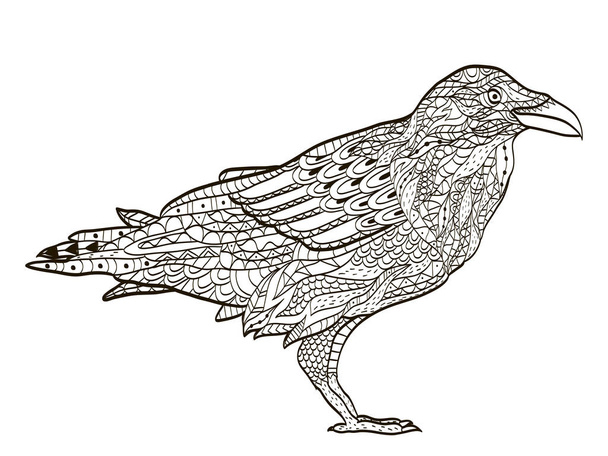 bird raven coloring book for adults vector - Διάνυσμα, εικόνα
