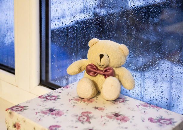 Osito de peluche por ventana lluviosa
 - Foto, Imagen