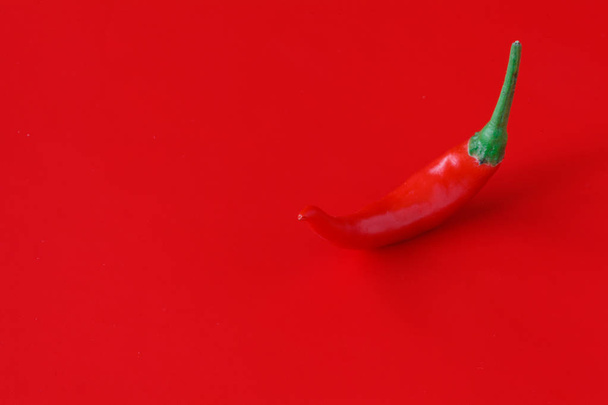 Fresh chili pepper on plain red background - 写真・画像
